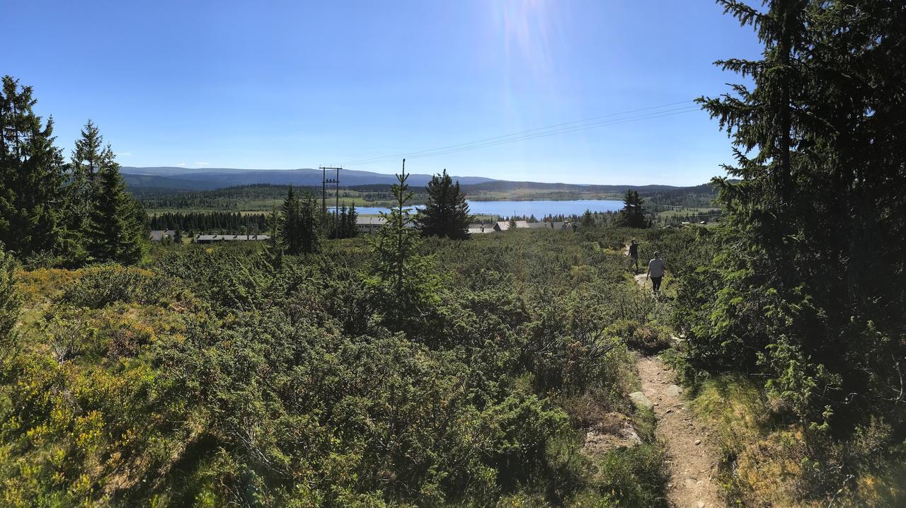Hornsjo Fjellhotel 하프옐 외부 사진