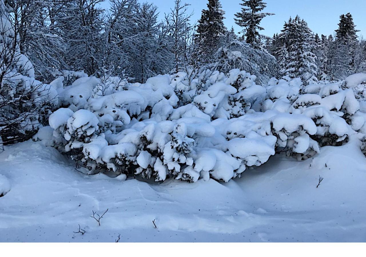 Hornsjo Fjellhotel 하프옐 외부 사진